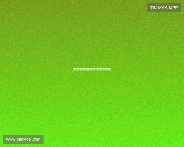 赛场之外的较量：伯恩利与拉齐奥背后的故事与文化碰撞